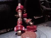 imagen-6