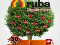 imagen-3
