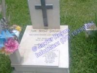 imagen-15