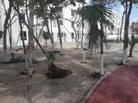 imagen-2