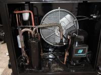 imagen-2