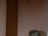 imagen-10