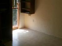 imagen-11
