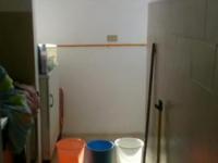 imagen-13
