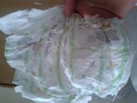 imagen-5