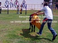 imagen-2