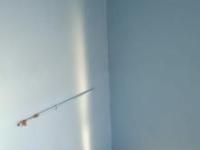 imagen-11