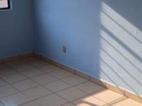 imagen-6