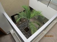 imagen-11