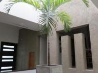 imagen-2