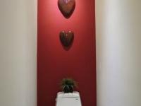 imagen-6