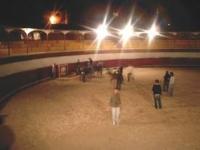 imagen-5