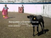 imagen-6