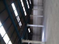 imagen-5