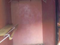 imagen-7